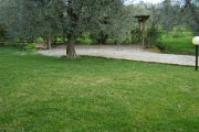 Area verde Agriturismo Vigna Mai, Montiano