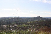 Collina Agriturismo Vigna Mai, Montiano