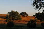 Colline che circondano l'Agriturismo