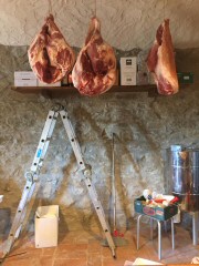 Prodotti Tipici Agriturismo Vigna Mai, Montiano
