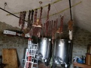 Prodotti Tipici Agriturismo Vigna Mai, Montiano