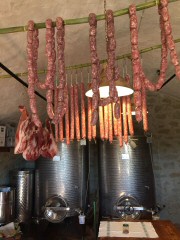 Prodotti Tipici Agriturismo Vigna Mai, Montiano