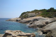 Arenella, Isola del Giglio